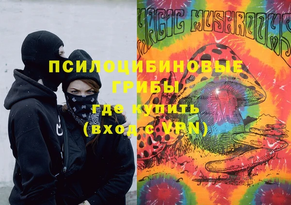 молекула духа Каменка