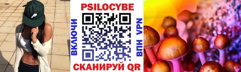 кракен ONION  Ворсма  Псилоцибиновые грибы Magic Shrooms 